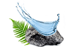 Air Wick Fresh Fragrances